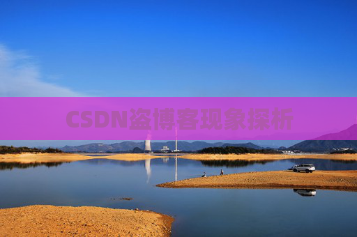 CSDN盗博客现象探析 CSDN盗博客现象探析